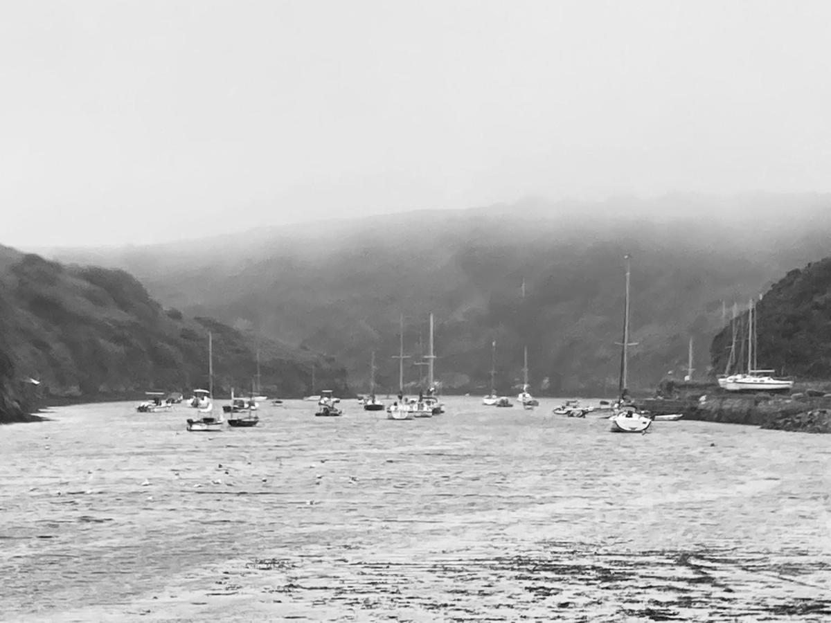 Cosy Cottage - Whitchurch, Solva Bagian luar foto