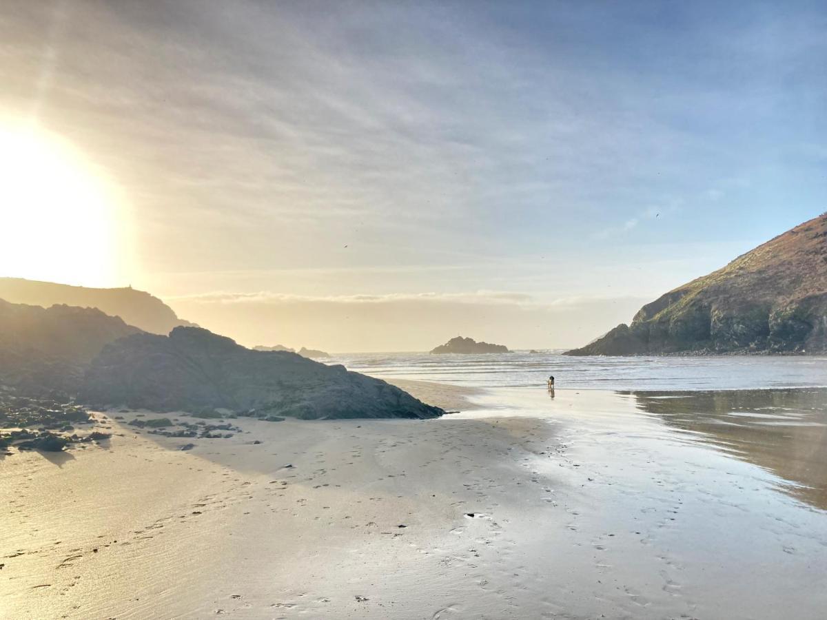 Cosy Cottage - Whitchurch, Solva Bagian luar foto