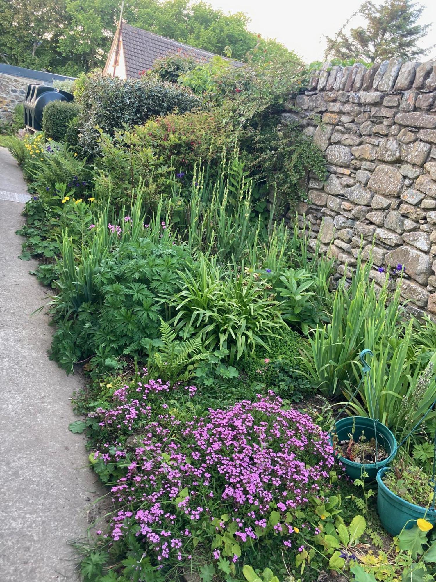 Cosy Cottage - Whitchurch, Solva Bagian luar foto